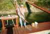 48 Pound SpoonBill fish