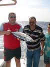 My-tuna-fish