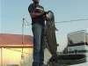 Blue Catfish