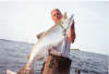 the KING AND I fish
