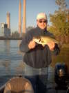 Lake Erie Largemouth fish