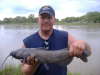 Bluecat fish