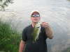 NICE LITTLE LARGIE fish