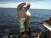 43.3 pound lake trout fish