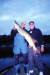 52 inch Musky fish