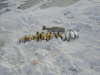 good day ice fishin