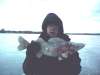 7 lbs walleye ice fishing