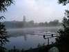 MORNING fish