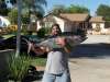 Big Yellowfin Tuna fish