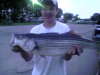 my 12 pound rockfish
