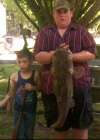 Flathead will eat you fish