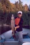36 inch Northern Pike fish