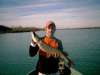 Northern Pike 33 inches fish