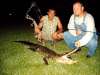 Bowfishing for gators