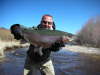 Big Rainbow, Little Laramie River WY fish