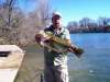 Black bass fish