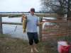 creekrunner fish