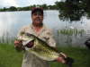 Bass fish