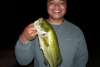 Bass - Night Fishing