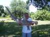 6 Foot Hammer fish