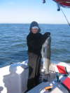 Lauren's Striper fish