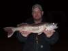 Walleye fish
