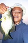 Crappie - Lake Mendota fish