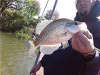 biggest crappie yet! fish