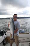 Nice Chinook Salmon fish