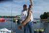 44 inch  20 pounds fish