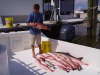 more fishin' with Dad in Venice, LA