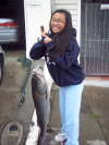 30 lb. surf hog fish