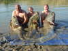 three big catfish from www.carpdreamfishing.com