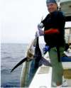 Pacific Blue Marlin fish