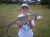 Giant herring fish