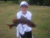 Mangrove Jack fish
