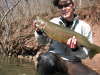 Steelhead fish