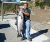 54.6 lb king salmon fish