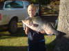 hybrids are it fish