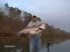 Arkansas Striper  43 lbs fish