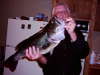 My Lunker Bass fish