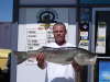 20# Sacramento Striper fish