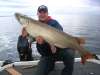 54.5 x 26-------- MUSKIE fish