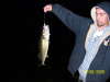 Walleye by night fish