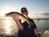 walleye fish