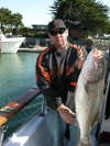 24lb stripper bass fish
