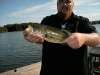large mouth bass fish