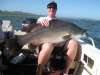 barra fish