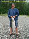 Chinook fish