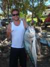 Gallo fish